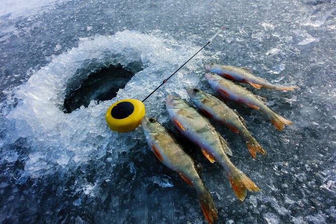Ice Fishing and Husky - The quiet pleasure of waiting