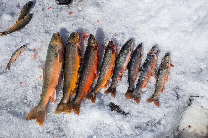 Ice Fishing and Husky - The sled ride, and the question you should ask