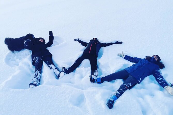 Icetrek to Old Kemi - Who will enjoy this most