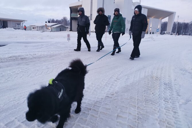 Icetrek to Old Kemi - How this compares with a typical Lapland excursion