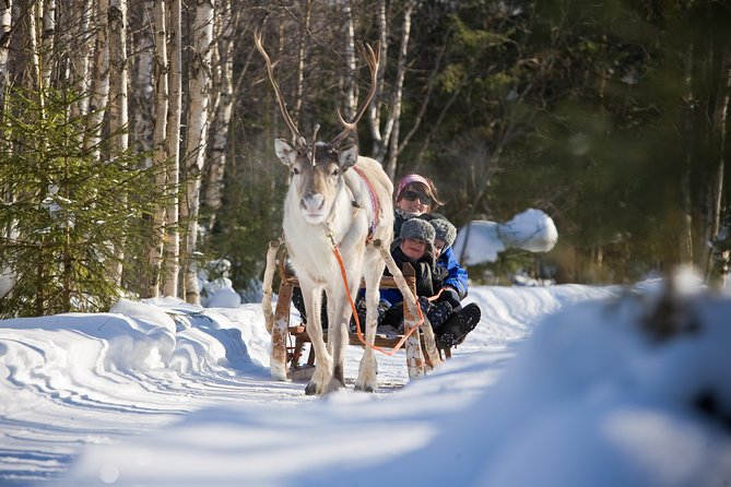 In Pursuit of Reindeer - Snowmobile safari to reindeer farm in Rovaniemi - From central Rovaniemi to the frozen countryside
