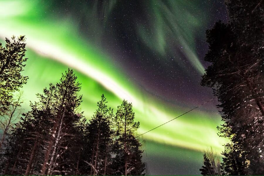 Inari: Northern Lights Hunt Snowmobile Safari - Who should book this snowmobile safari?