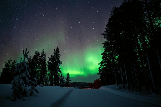 Ivalo: Aurora Hunting with Reindeer - An 8 p.m. start at a real reindeer fence