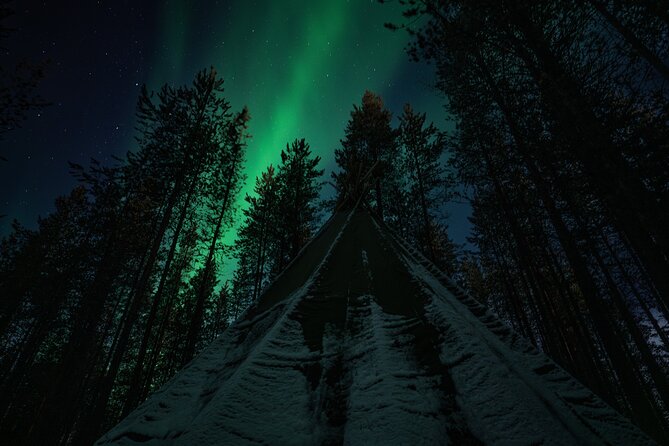 Ivalo: Aurora Hunting with Reindeer - Who will enjoy this Ivalo evening most?