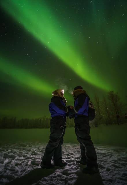 Ivalo: Lake Inari Northern Lights Tour w/ Reindeer & Dinner - Meeting and feeding the reindeer