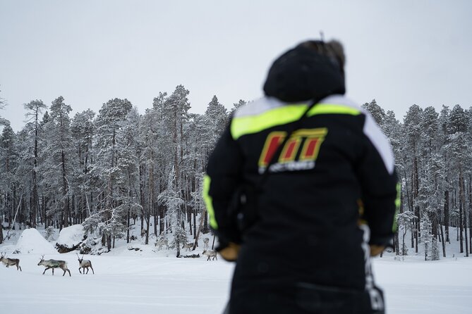 Ivalo: Reindeer herd and fishing experience - Calling the herd in the Lapland forest