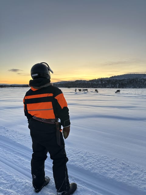 Ivalo: Snowmobile Safari, Meet and Feed Reindeers with Lunch - Who should choose this safari?
