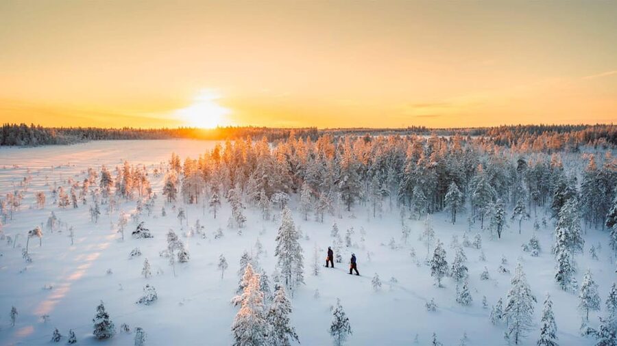 Kemi-Tornio: Nature tour with snowshoes - Key points at a glance