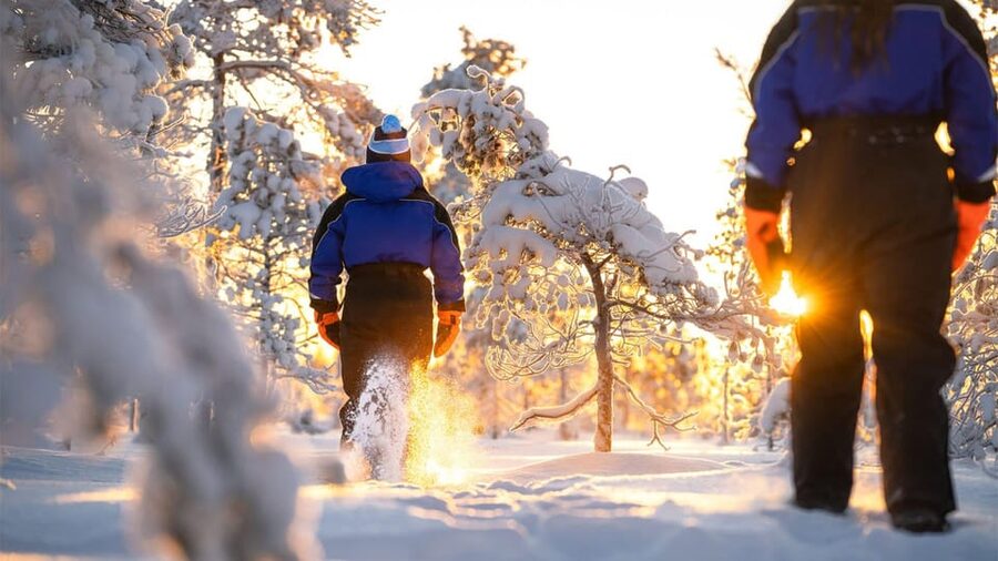 Kemi-Tornio: Nature tour with snowshoes - Starting at Sea Lapland Safaris in Kemi