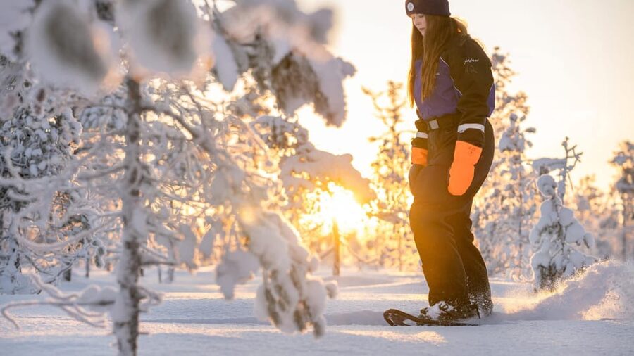 Kemi-Tornio: Nature tour with snowshoes - Looking for Lapland wildlife in the forest