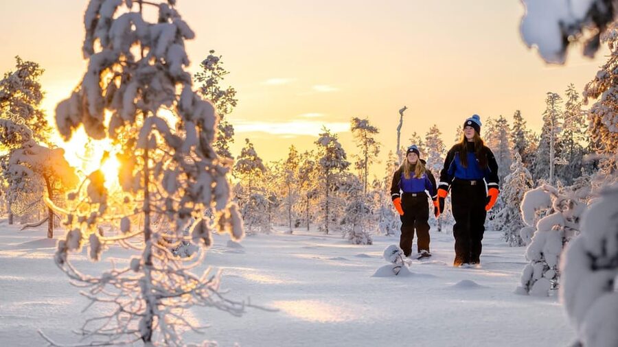 Kemi-Tornio: Nature tour with snowshoes - Getting the snowshoes on