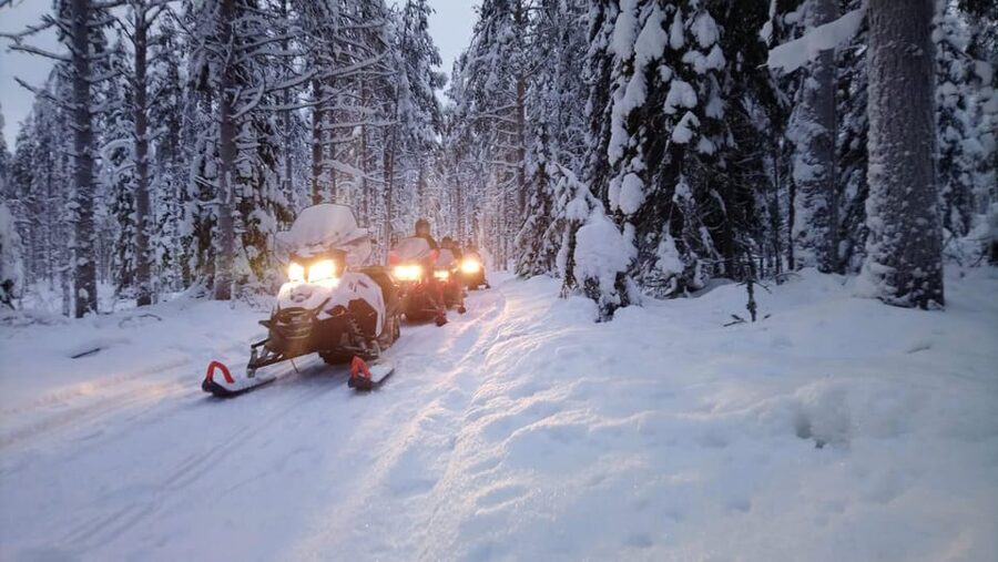 Kemi-Tornio: Snowmobile Forest Safari w/ Hot Drink & Snacks - Key points at a glance