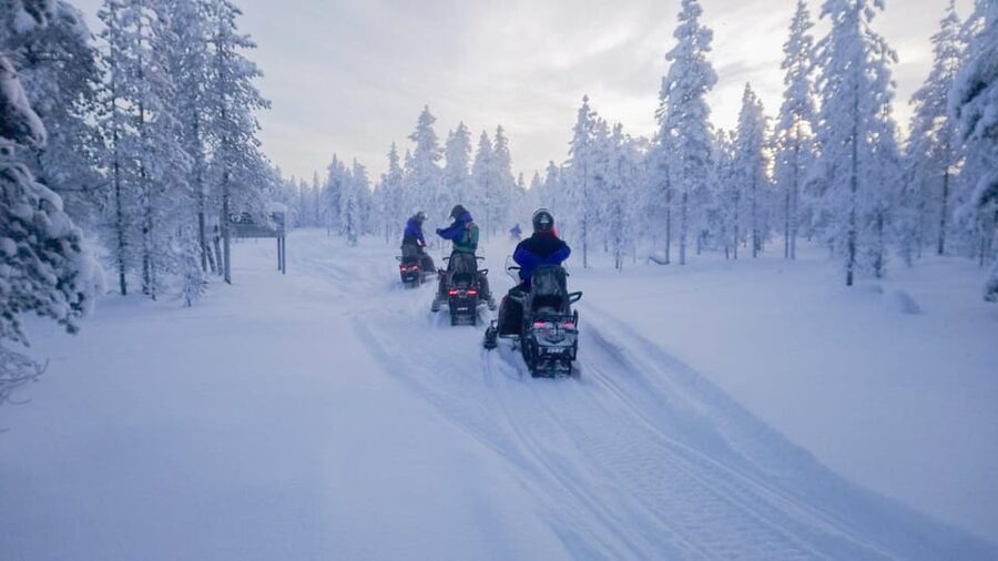 Kemi-Tornio: Snowmobile Forest Safari w/ Hot Drink & Snacks - From Kemi’s safari house to the frozen bay