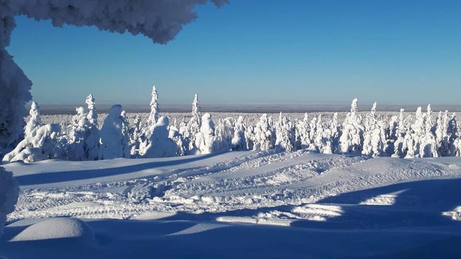 Kemi-Tornio: Snowmobile Forest Safari w/ Hot Drink & Snacks - Crossing the frozen Bothnian Bay