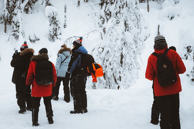 Korouoma Canyon Frozen Waterfalls - The frozen waterfalls and best photo moments