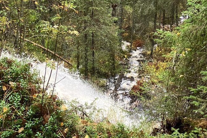 Korouoma Canyon: Frozen Waterfalls Hike & BBQ Experience - What the $159 price really covers