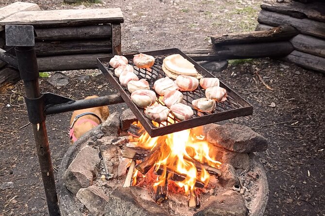 Korouoma Canyon: Frozen Waterfalls Hike & BBQ Experience - Winter clothing will shape your day