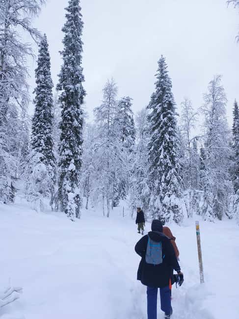 Korouoma Canyon Frozen Waterfalls Hike & Private Teepee BBQ - Why Korouoma’s frozen waterfalls are worth the drive