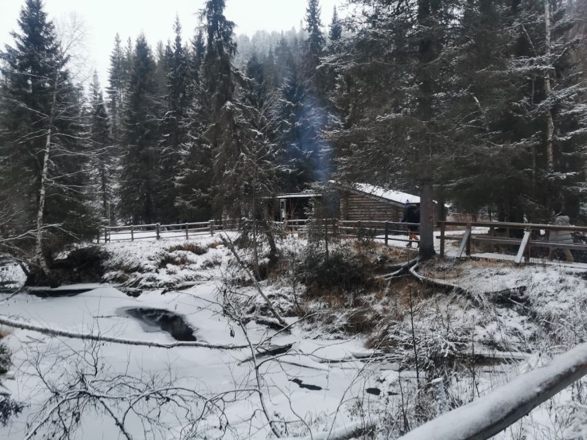 Korouoma Canyon Frozen Waterfalls Hike & Private Teepee BBQ - A 2.5-hour walk through snow and ice