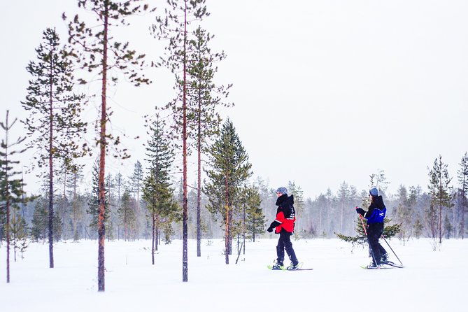 Korouoma Canyon Snowshoe Trip - Key points at a glance