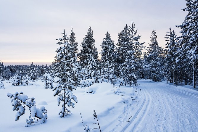 Korouoma Canyon Snowshoe Trip - Practical planning for a cold-weather day
