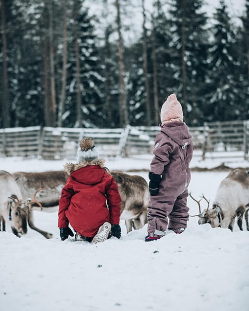 Kuusamo: Reindeer Sleigh Ride and Farm Visit - What the guide adds to the farm visit