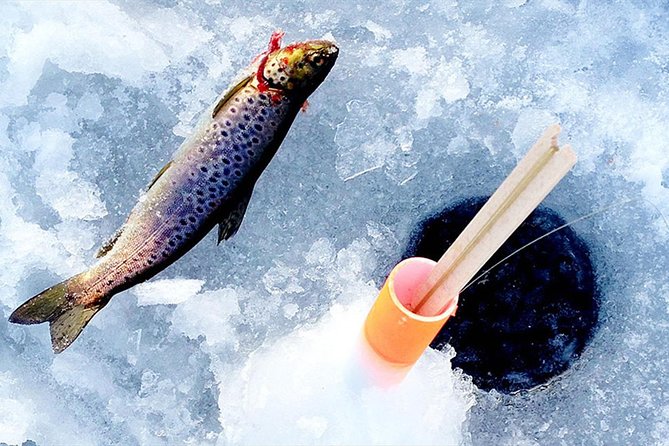 Lakeside Sauna Trip with Ice Fishing and Ice Swimming - Campfire lunch with salmon and hot blueberry juice