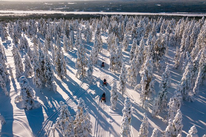 Lapland Family Snowmobile Safari from Levi - Mini-skidoos give children their own moment