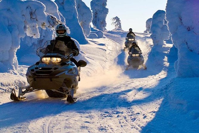 Lapland Family Snowmobile Safari from Levi - Timing, group size, and the cold-weather reality