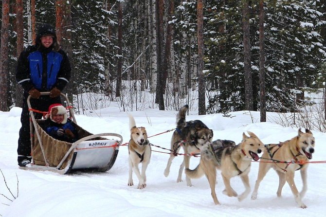 Lapland Husky Safari from Saariselkä - Who Will Enjoy This Most