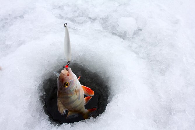 Lapland Ice Fishing Experience from Rovaniemi - Walking through the Arctic forest to the lake