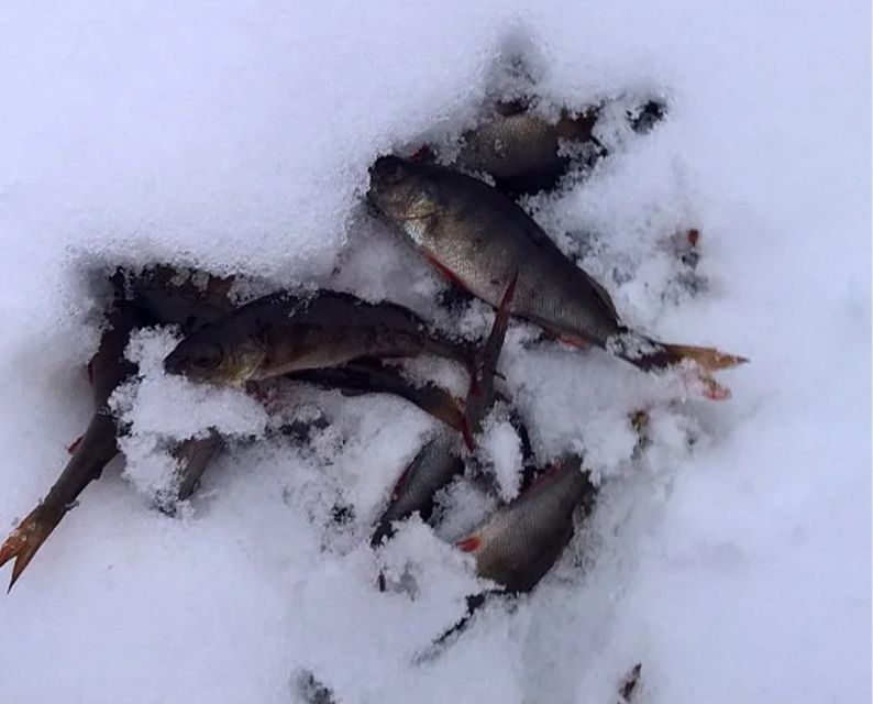 Lapland: Ice Fishing, Floating & BBQ Snow Adventure - The strange pleasure of ice floating
