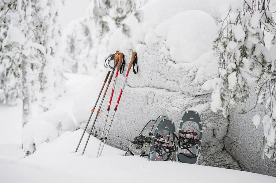 Lapland: Ice Fishing, Floating & BBQ Snow Adventure - Is the $281 price fair?