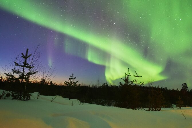 Lapland In A Day - Reindeer, Sledding, Snowmobile & Nature - Downhill sledding for simple winter fun