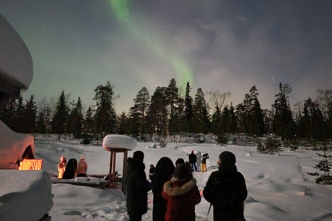 Lapland In A Day - Reindeer, Sledding, Snowmobile & Nature - Following the lantern-lit forest trail