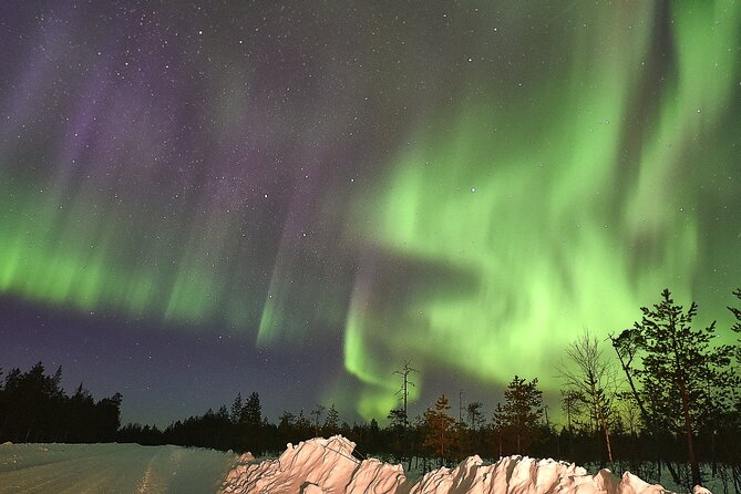 Lapland In A Day - Reindeer, Sledding, Snowmobile & Nature - A warm hut, an open fire, and Lappish snacks