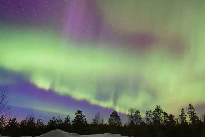 Lapland In A Day - Reindeer, Sledding, Snowmobile & Nature - Can you see the northern lights?