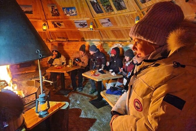 Lapland In A Day - Reindeer, Sledding, Snowmobile & Nature - Meeting reindeer in Vikajärvi