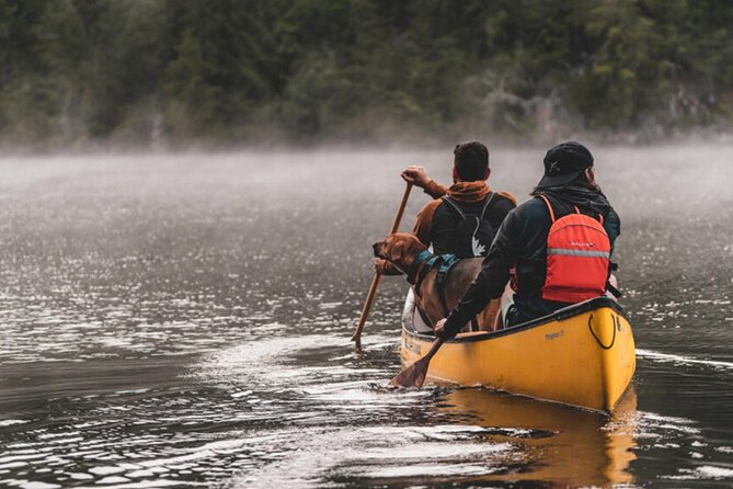 Lapland Kayak Adventure in Rovaniemi - Scenic pauses, wildlife, and a possible swim