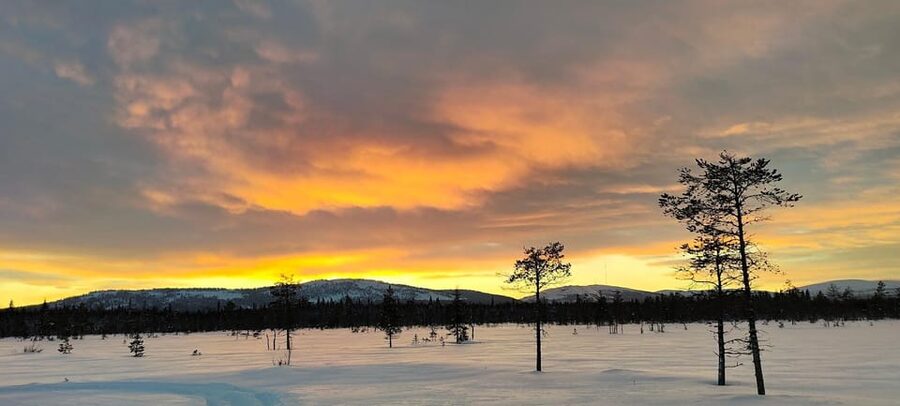 Lapland: Private Snowmobile Safari with arctic Local Guide - What makes this Luosto snowmobile trip different