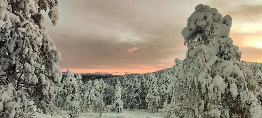 Lapland: Private Snowmobile Safari with arctic Local Guide - Riding two snowmobiles through Pyhä-Luosto
