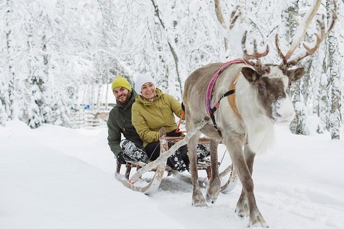 Lapland Reindeer and Husky Safari from Levi - Meeting the huskies before the sled run