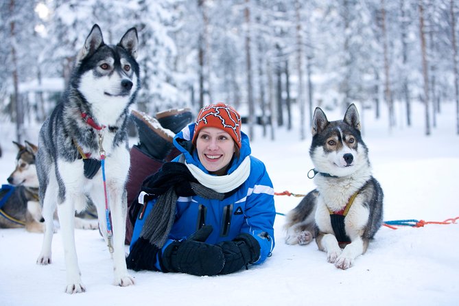 Lapland Reindeer and Husky Safari from Rovaniemi - Two Lapland classics in one short morning