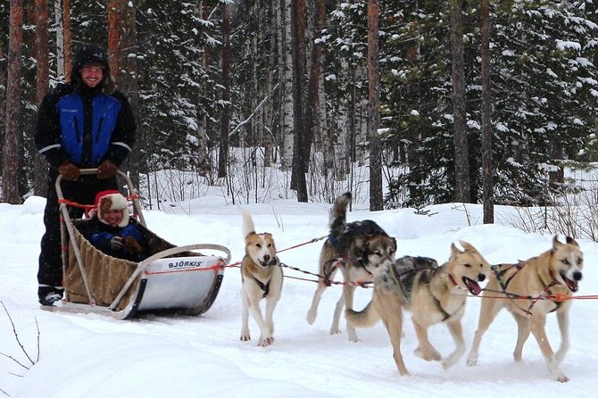 Lapland Reindeer and Husky Safari from Rovaniemi - Animal welfare and your role