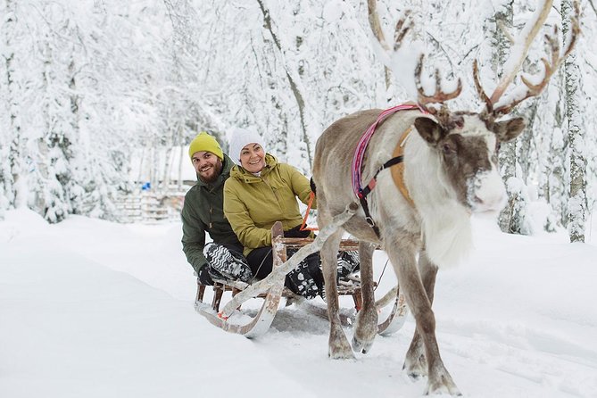 Lapland Reindeer Safari from Rovaniemi - The sleigh ride through snowy woods