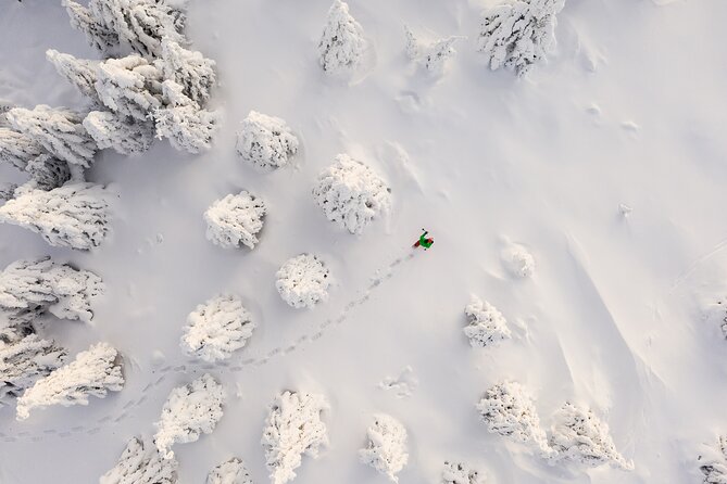 Lapland Winter Experience - Why this Rovaniemi snowshoe tour works