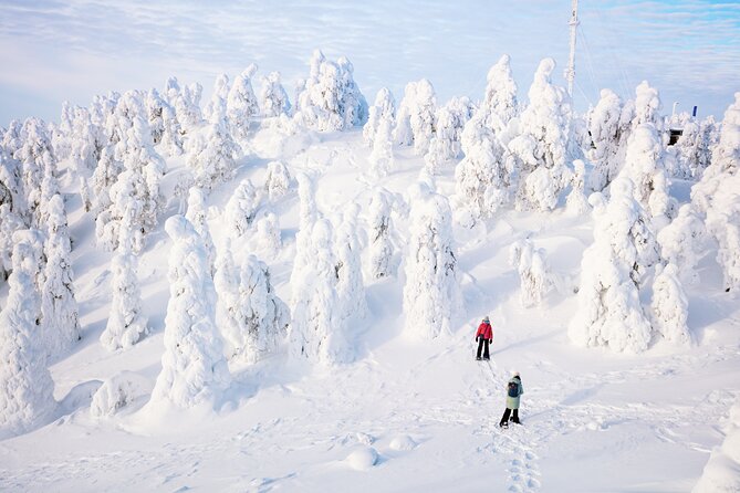 Lapland Winter Experience - The campfire finish with sausages and berry tea