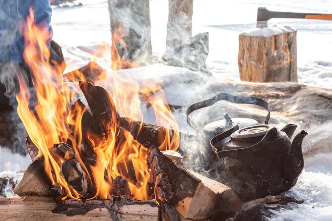 Lapland Winter Experience - Is $119.27 a fair price?