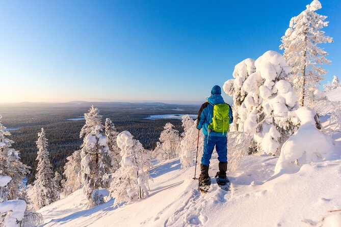 Lapland Winter Experience - Who should book this outing?