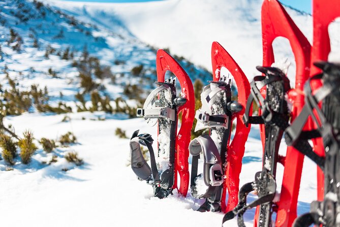 Lapland Winter Experience - From Rovaniemi pickup to the snowy trail